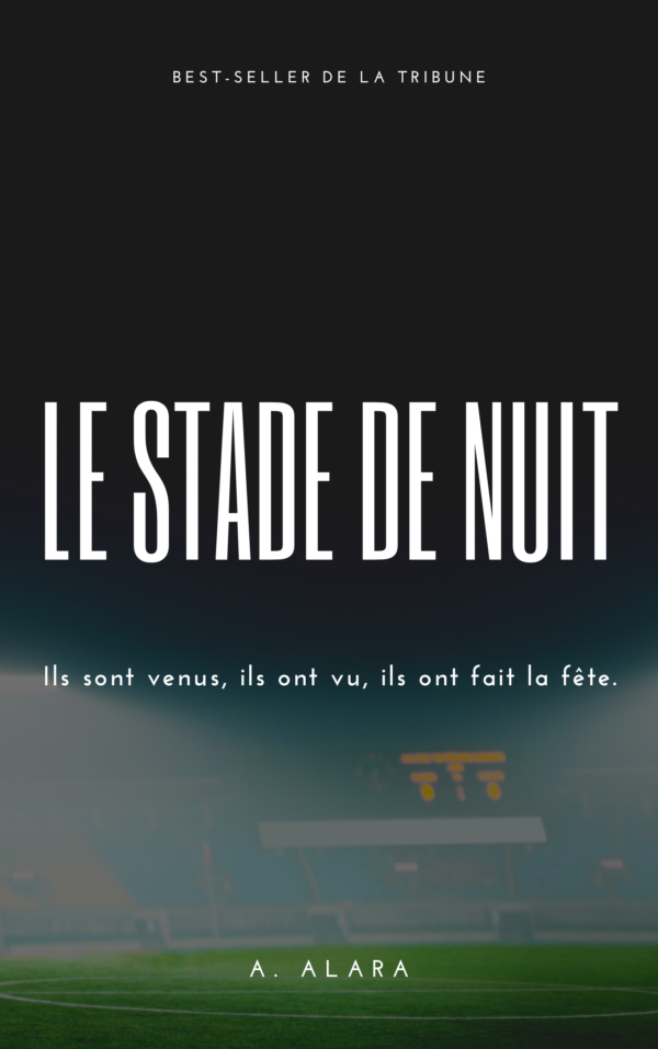 Couverture du livre Le stade de nuit